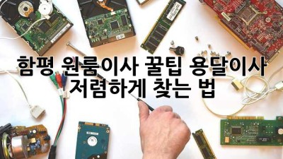 함평 원룸이사 꿀팁🍯: 용달이사 저렴하게 찾는 법!